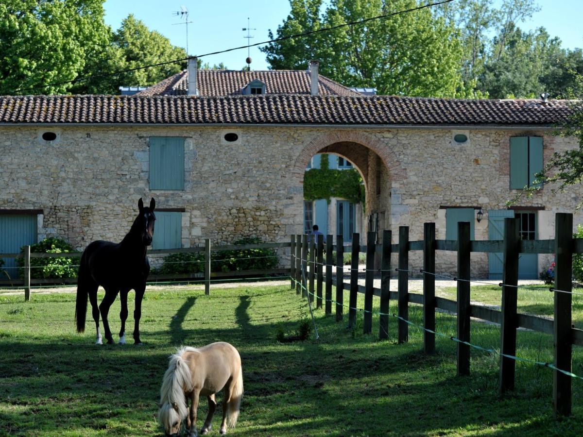 Chateau De L'Isle - Chambres D'Hotes Castelnau-de-Medoc Luaran gambar